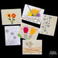 Greeting Cards - Variety Pack