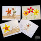 Greeting Cards - Variety Pack