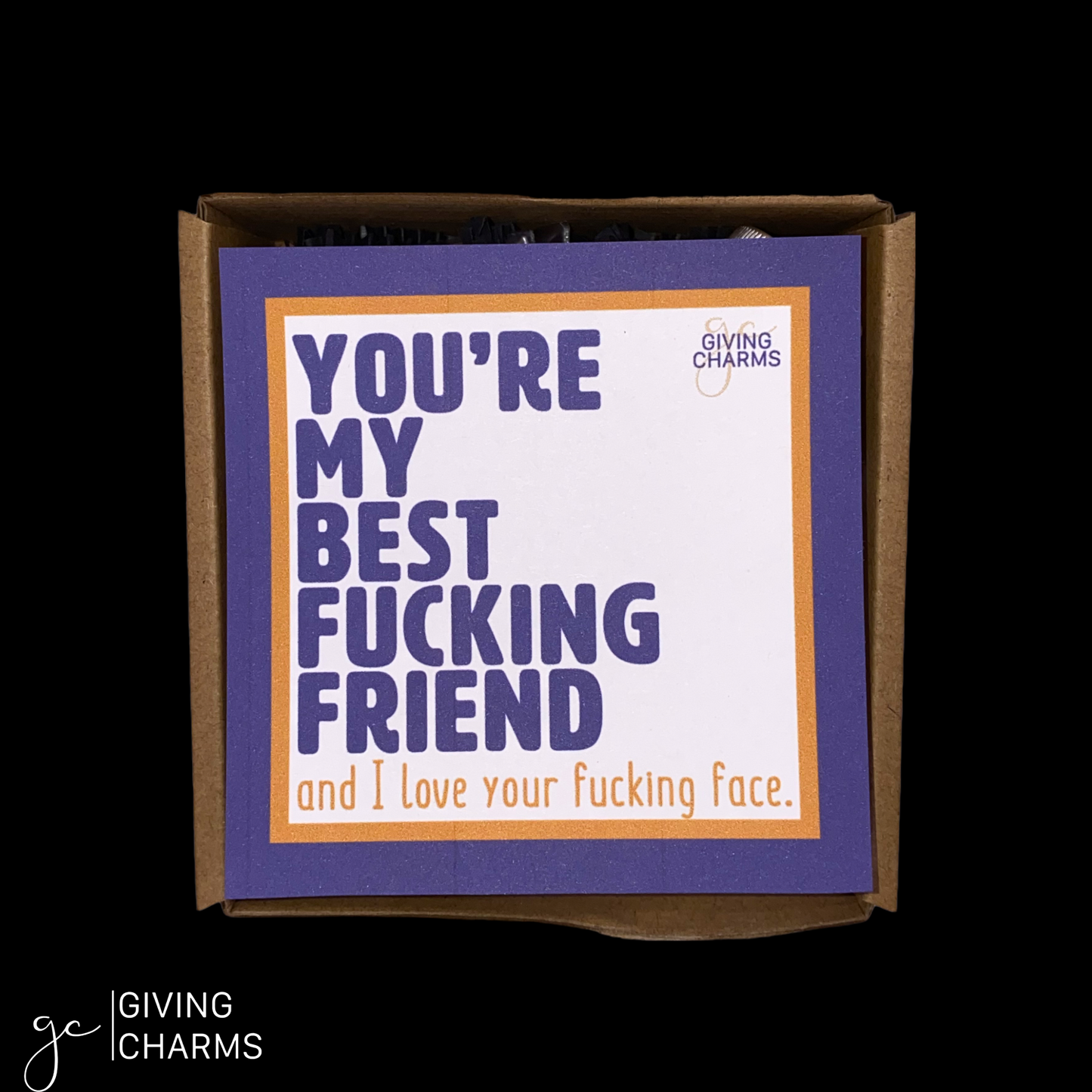 The Best Fucking Friends Bestie Box Jr.